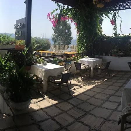 Pasha 2*
