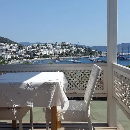 B&B Pasha 2*