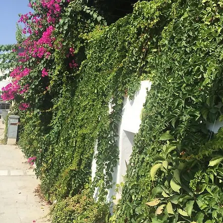 Pasha Bed and Breakfast 4*