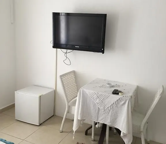 Pasha 4*