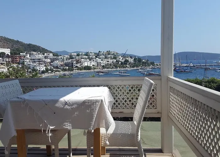 Bed and breakfast Pasha 4*