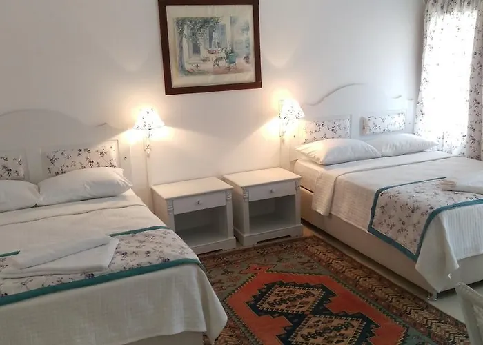 Bed and breakfast Pasha