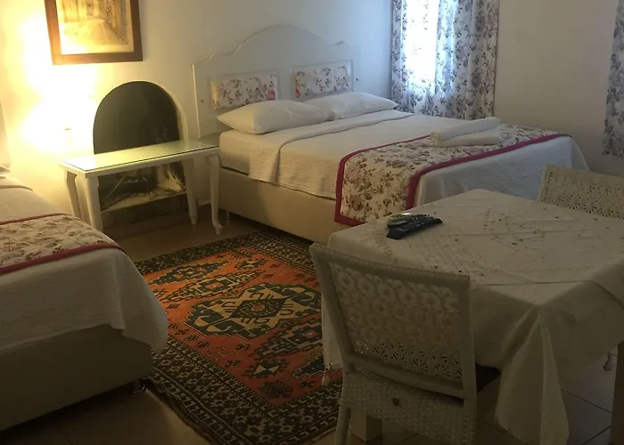 Bed and breakfast Pasha 4*