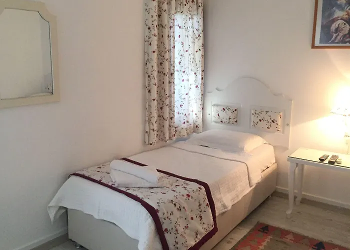 Bed and breakfast Pasha