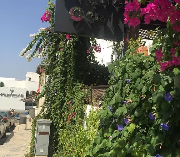 Pasha Couette-café 4*