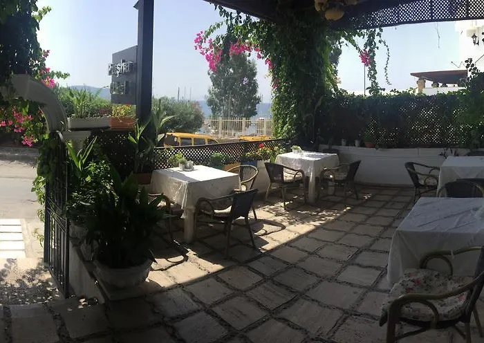 Pasha 4*