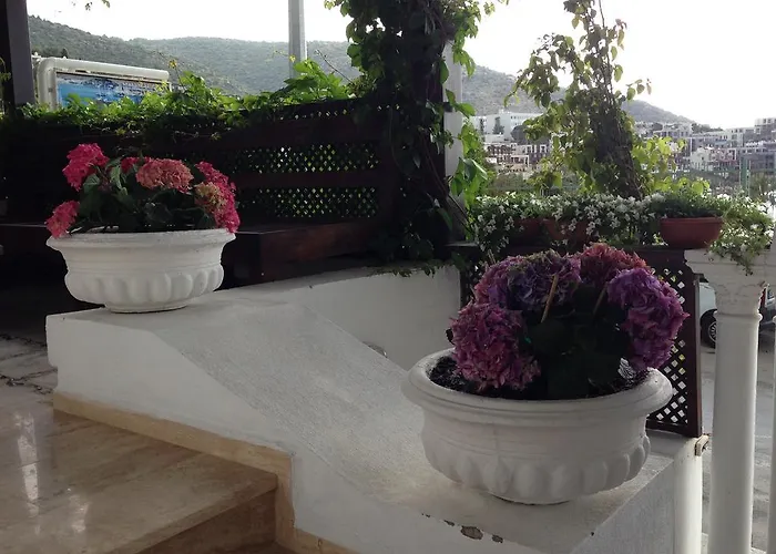 Bed and breakfast Pasha Bodrum
