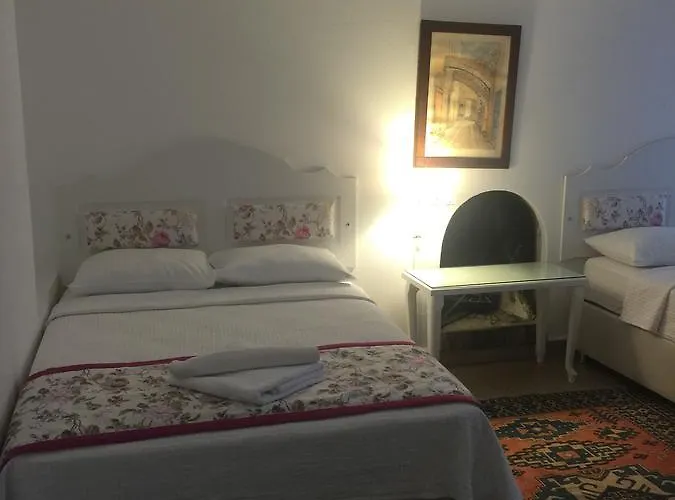 Bed and breakfast Pasha