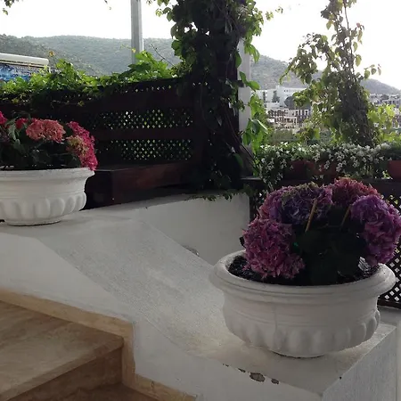 Panzió Pasha Bodrum