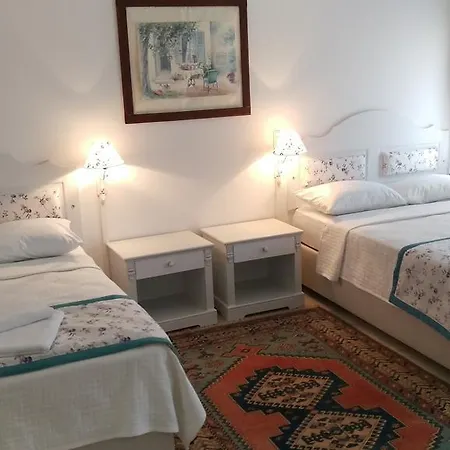 فندق مبيت وإفطار Pasha
