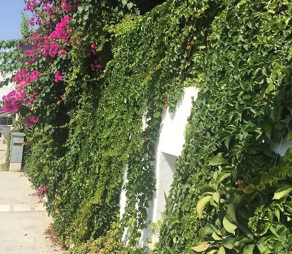 Pasha Bed & Breakfast 4*