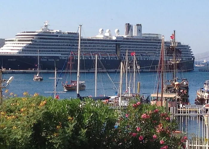 住宿加早餐酒店 Pasha